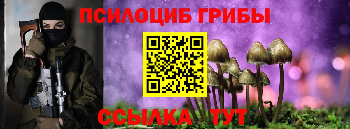 Псилоцибиновые грибы Psilocybine cubensis Новокубанск